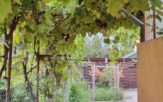 Casa de inchiriat | 2 Camere | Lazaret | 80mpu | Individuala |Pivnita - Poză 7