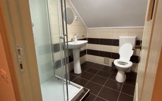 Investitie | Cabana | 5 camere | Balcon | 115 MPU | Raul Sadului - Poză 10