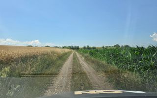 Teren intravilan industrial, 21300 mp, deschidere 77 mp, Vintu de Jos - Poză 3