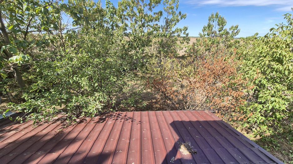 Casa P+1 din lemn - Mihailesti - Poză 19