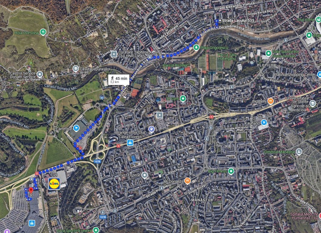 | Apartament cu 3 camere de vanzare | Cartierul Grigorescu | Etaj 4| Decomantat| - Poză 8