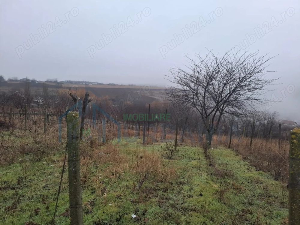 Teren Intravilan 2406 mp în Miroslava (Vorovești), Strada Pădurii - Poză 3
