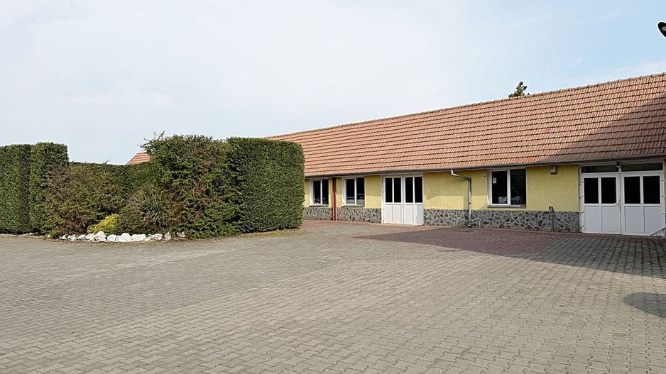 Hala de inchiriat Biharia | DN19 - Poză 1