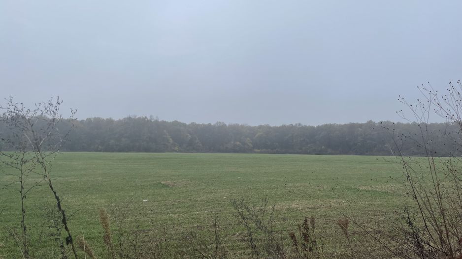 9400 mp | Ideal pentru investitie | Tunari | Deschidere la padure - Poză 7