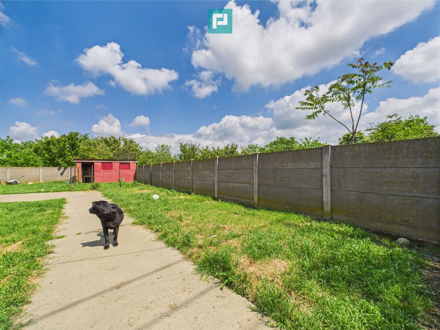 Casă individuală în Pădureni - Poză 3