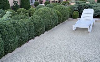 Vilă de lux de închiriat – ideală pentru afaceri - Poză 6