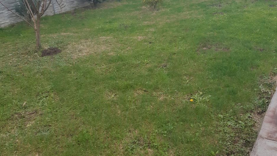 Ag EUROPA vinde casa individuala in COROD cu 2 camere și teren 22 ari. - Poză 9