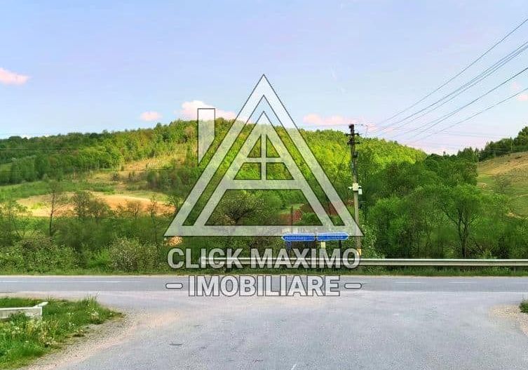 25.000 mp TEREN Ciucea – Calea Lata, jud. Cluj - Poză 8
