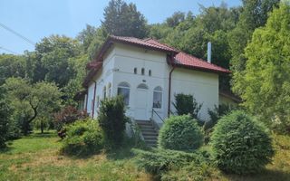 CONAC BEREVOIESTI CU TEREN 8670 MP INTRAVILAN, PRET 200000 EURO - Poză 1