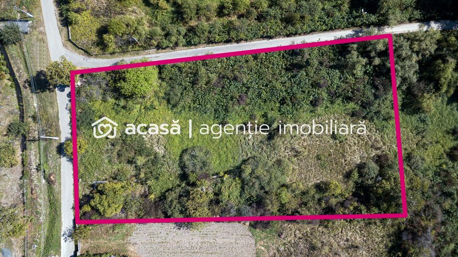 Teren pentru casa de vacanta 4320 mp - Poză 3