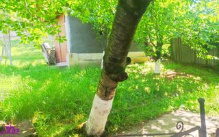 Casa zona dealuri - Poză 8