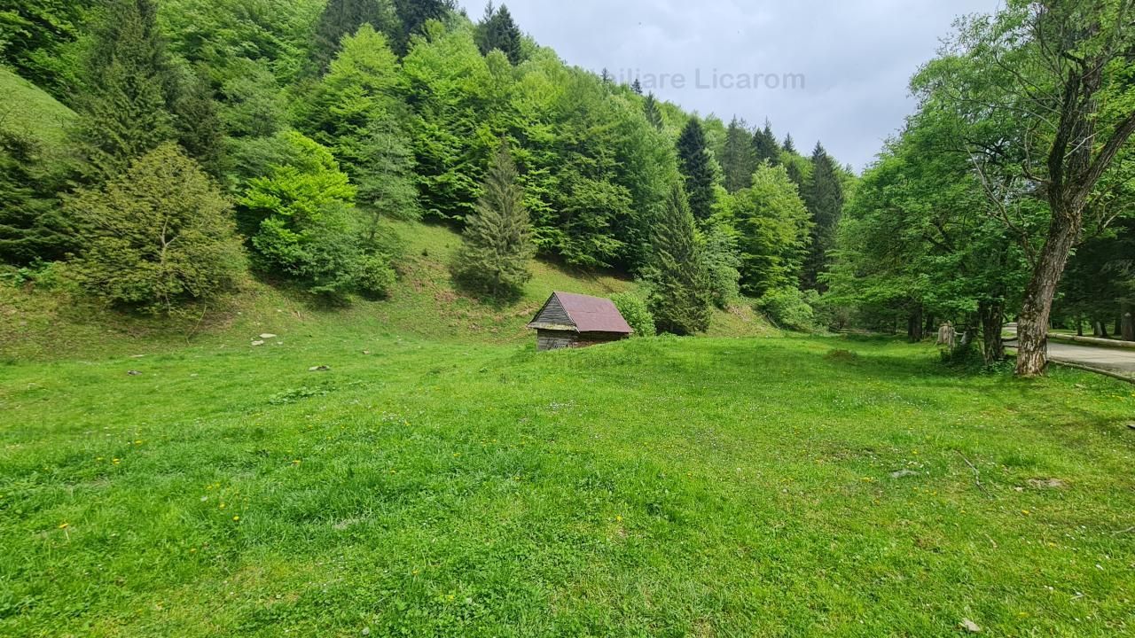 13005 mp teren faneata in Bran Simon cu fornt de 57 mp - Poză 1