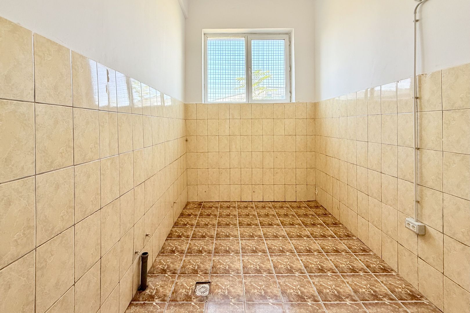 Hală industrială de producție/depozitare – Jilava, Str. Gării, 1797 mp - Poză 9