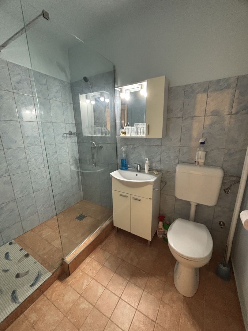 Apartament 1 camera la 10 minute de Iulius Mall - Poză 9