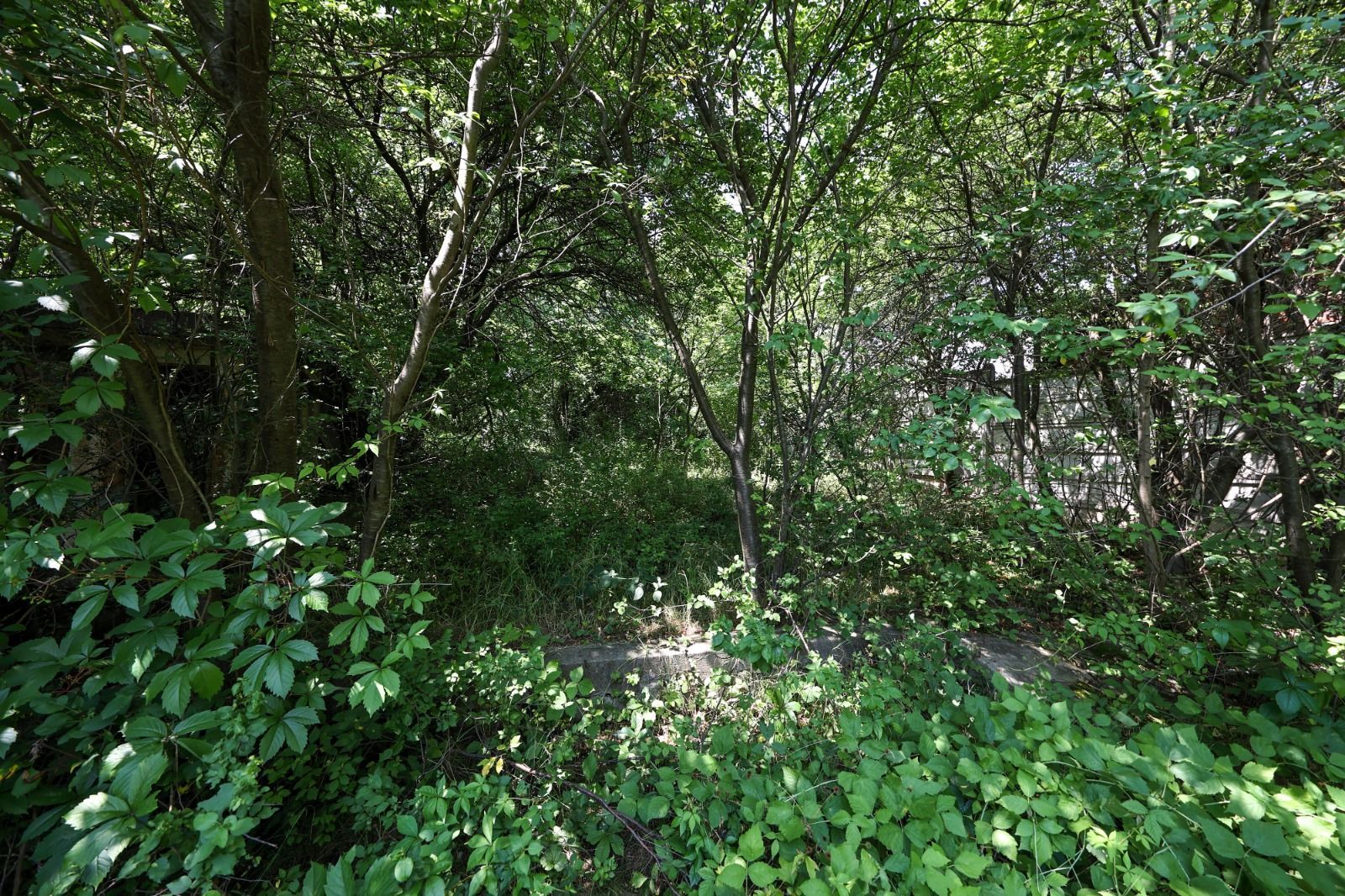 Casă spațioasă în centrul orașului Sfântu Gheorghe | Teren 1300 mp - Poză 13