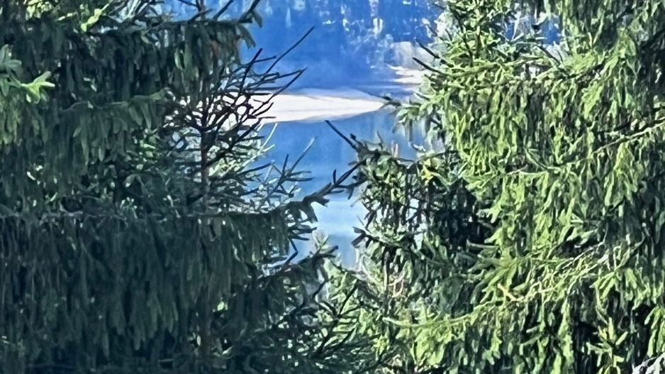 Cabana Exclusivista de vanzare in Belis - Cluj + 14.715 mp teren - Poză 11