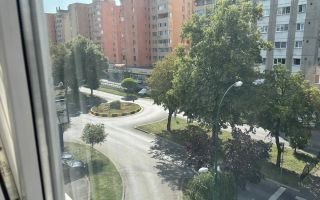 Apartament cu o camera in Dambu - Poză 8