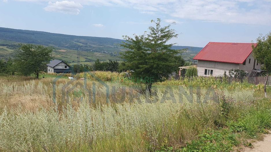 Teren intravilan construibil, 1.219 mp, zona Chicirea/Tomești, 25 euro/mp - Poză 6
