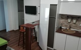 Popas Pacurari- Casa Auto Dacia - Apartament 1 camera - Parcare privata - Poză 5