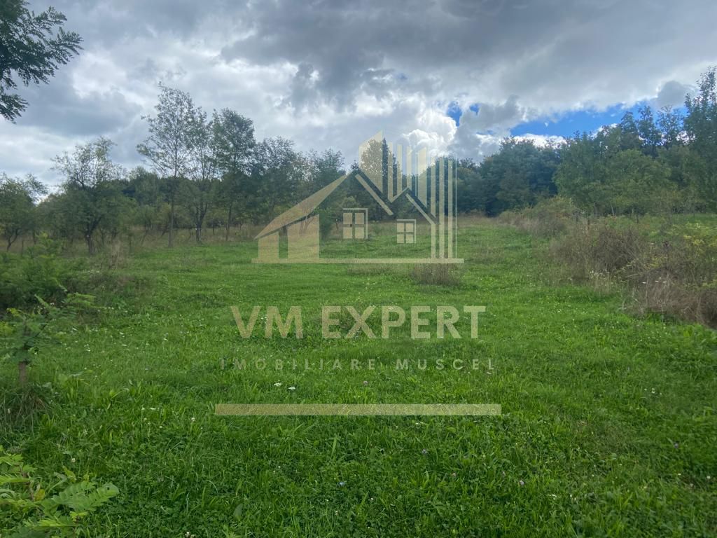 TEREN INTRAVILAN 3000 MP, GRUI, CAMPULUNG - Poză 1