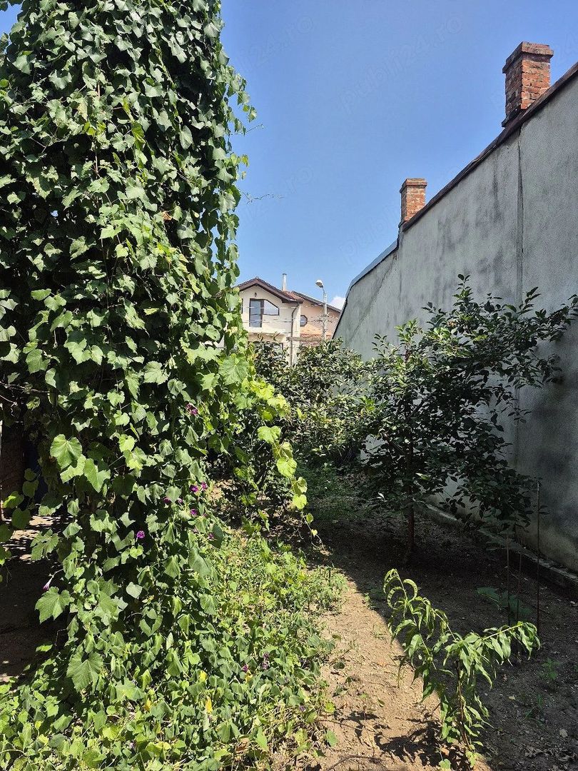 Apartament 2 camere la curte - Poză 3
