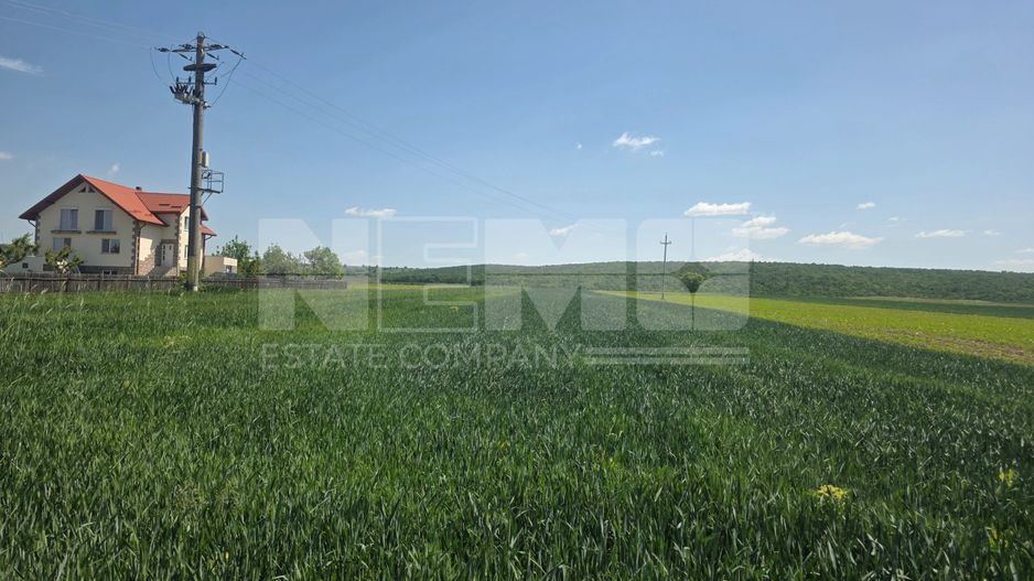 TEREN EXTRAVILAN | MITOCU DRAGOMIRNEI | 2.600 Mp - Poză 1
