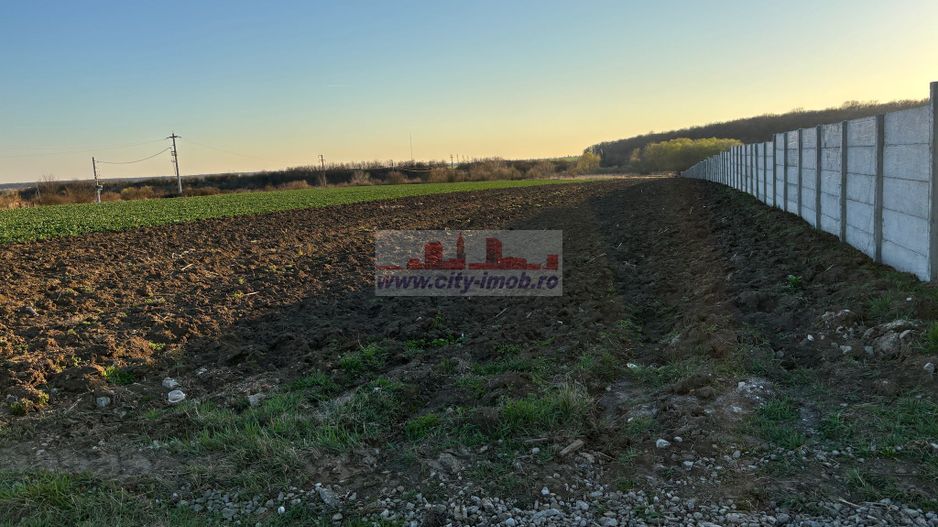 Vanzare teren constructie casa Snagov Sat Izvorani , Jud Ilfov - Poză 4