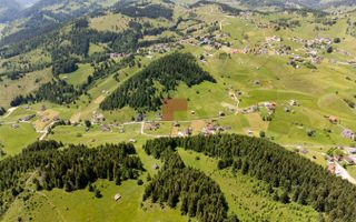 Teren Fundatica intravilan 4500 mp - Poză 5