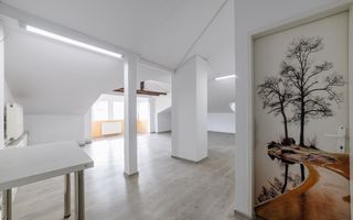 Spatiu Comercial - Ultracentral - Armand Calinescu, Pitesti! - Poză 3