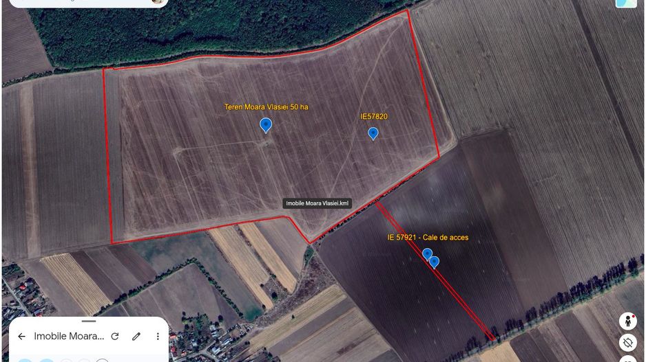 Teren intravilan 50,5 ha – Moara Vlăsiei - Poză 1