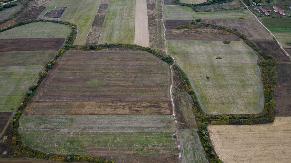 Teren agricol de 34.500mp în Albina, Județul Timiș - Poză 3