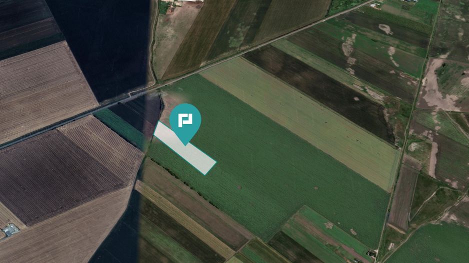 Teren extravilan de 22500 mp în Variașul Mare - Poză 1