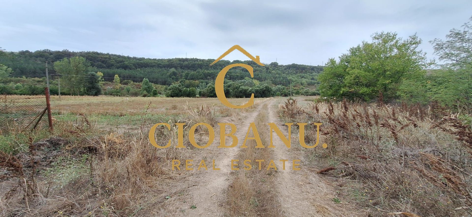 Teren Intravilan/Extravilan de vanzare in Bradestii Batrani - Poză 10