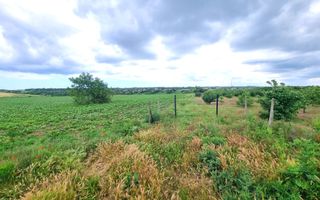 OVIDIU (COD 02)  - teren extravilan 4000 mp - Poză 5