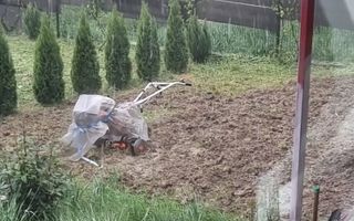 Casă P+M cu 1.558 mp teren, livadă și garaj | Barza, Gorj Comision 0%  - Poză 19