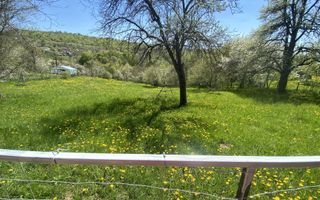 TEREN INTRAVILAN 3265 MP, VALEA MARE PRAVAT, ARGES - Poză 4