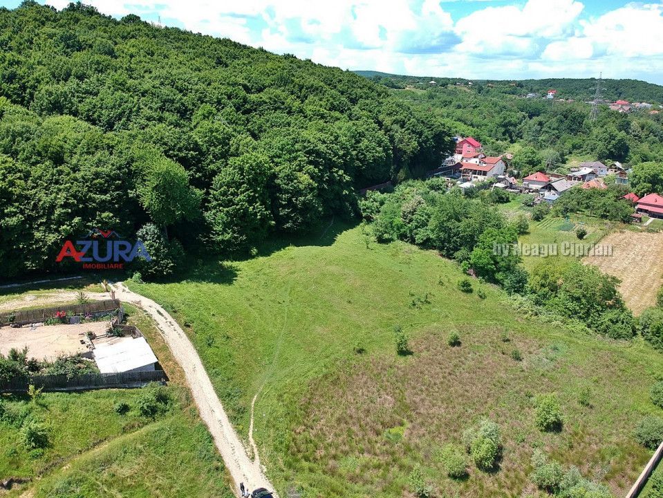 Vanzare teren 904 mp, Bascov, langa padure - Poză 10