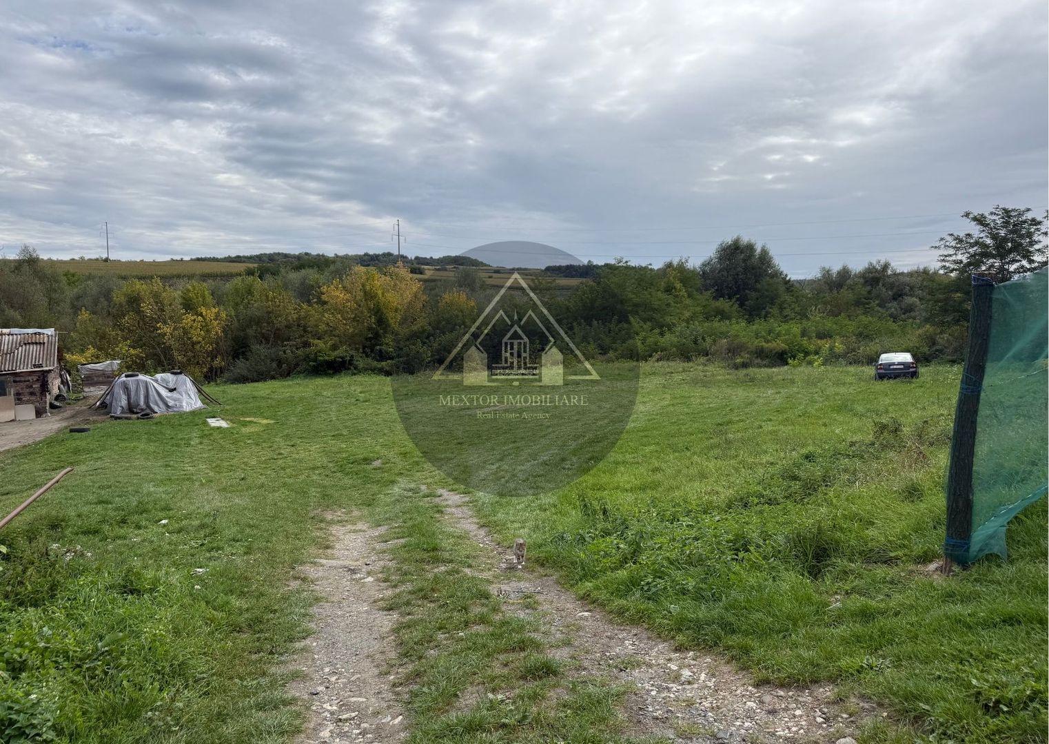 Teren Copsa Mica - Poză 4