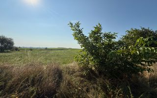 Teren extravilan | Rădăuți | 600 m de centură | 20 m front - Poză 2