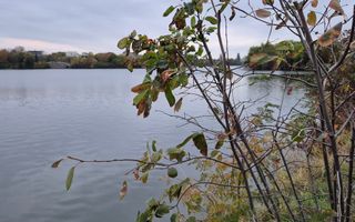 Green Lake | Lacul Baneasa | Sisesti | Vila cu 4 apartamente - Poză 14