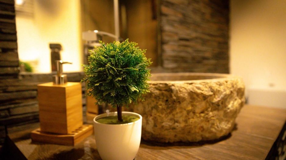 Apartament la cheie, cu grădină proprie, pretabil locuit sau închiriere - Poză 7