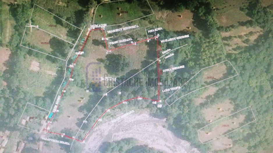 Teren in Comuna Muereasca_suprafata 7489 mp_mixt_situat la 170 m de Primarie - Poză 3