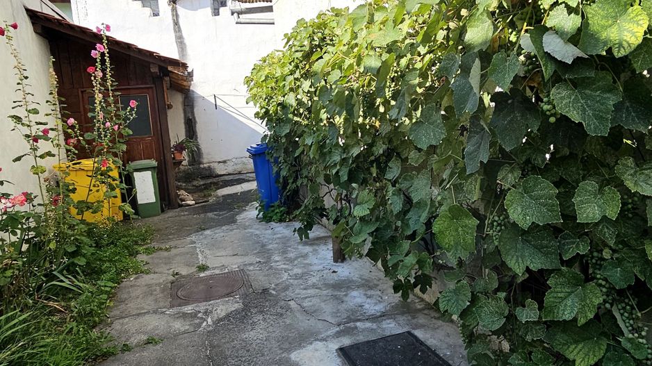 Apartament 2 camere 50 mp utili parter la curte zona Centrul Istoric - Poză 7