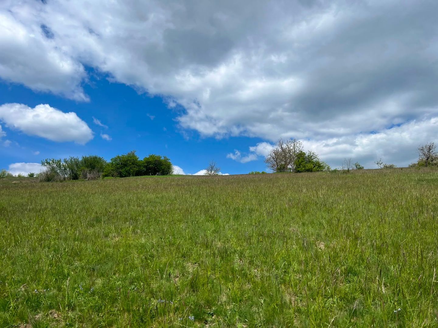 TEREN INTRAVILAN DE VÂNZARE – 3.610 MP | VIILE SIBIULUI | INVESTIȚIE - Poză 2