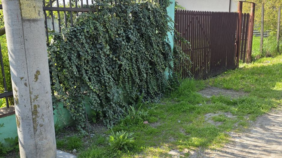 Teren între case cu utilități – la 2 pași de Brațul Borcea, Fetești - Poză 4