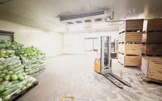 Hala industrială de vanzare Arad 540 mp, depozitare la rece, acces TIR - Poză 3