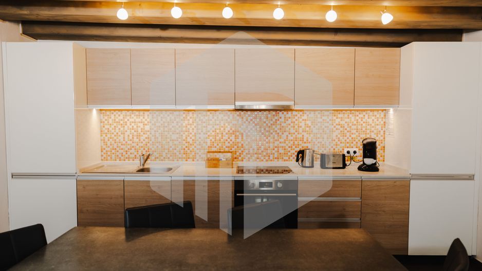 Casa Nicolae  | Regim Hotelier | Apartament 2 camere - Poză 10