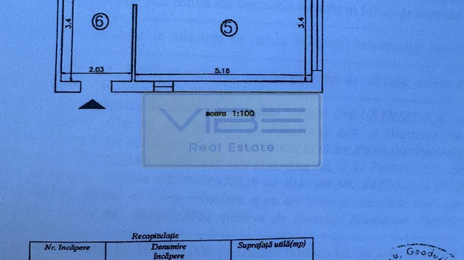 Spatiu comercial cu vad Pta Nicolina - Podu Ros - Poză 9