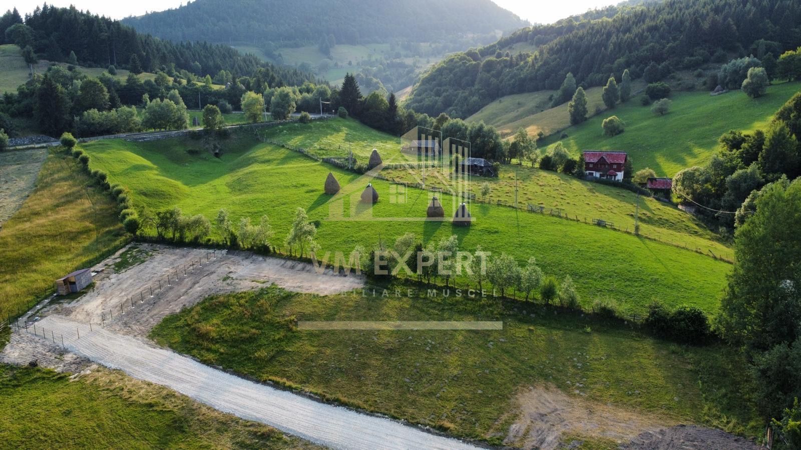 TEREN INTRAVILAN 495 MP, DAMBOVICIOARA, ARGES - Poză 1