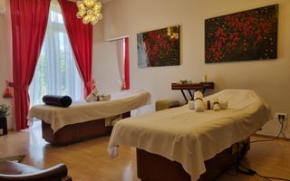 INCHIRIERE -2 VILE -ZONA MOGOSOAIA - Poză 12